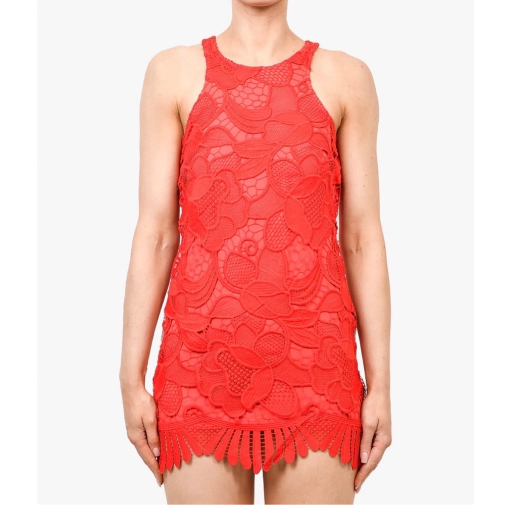 Lovers + Friends Red Crochet Lace Mini Dress